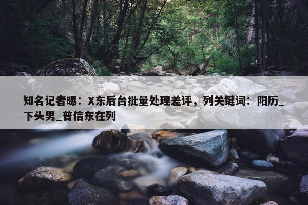 知名记者曝：X东后台批量处理差评，列关键词：阳历_下头男_普信东在列