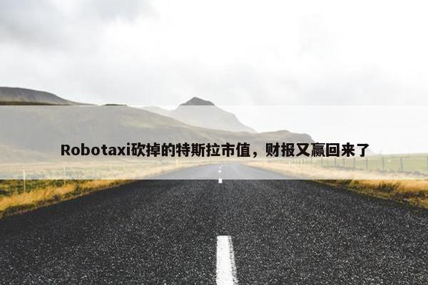 Robotaxi砍掉的特斯拉市值，财报又赢回来了