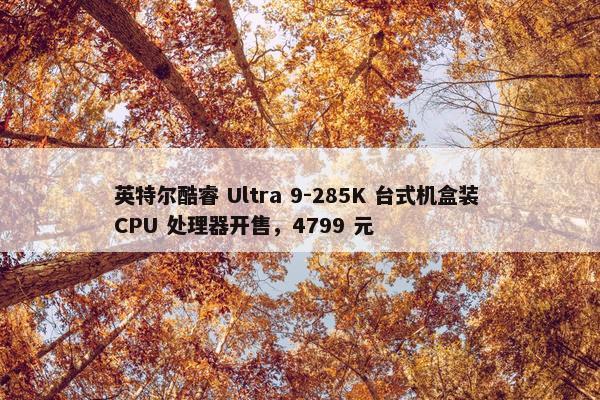 英特尔酷睿 Ultra 9-285K 台式机盒装 CPU 处理器开售，4799 元