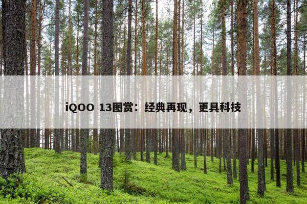 iQOO 13图赏：经典再现，更具科技