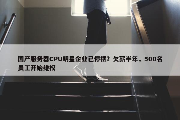 国产服务器CPU明星企业已停摆？欠薪半年，500名员工开始维权