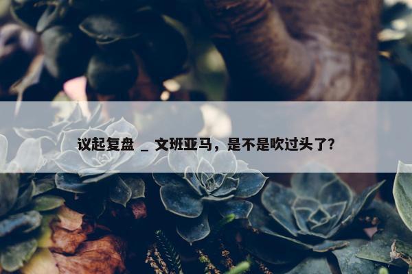 议起复盘 _ 文班亚马，是不是吹过头了？