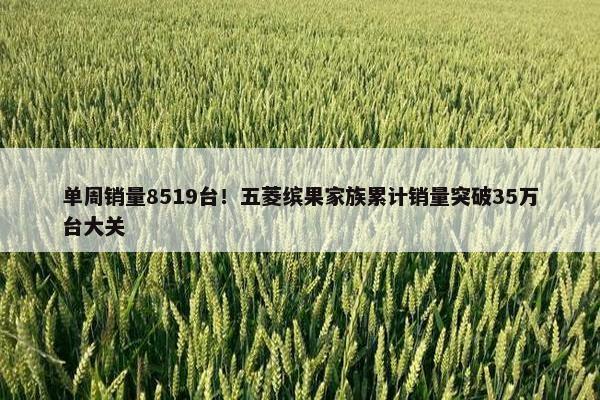 单周销量8519台！五菱缤果家族累计销量突破35万台大关