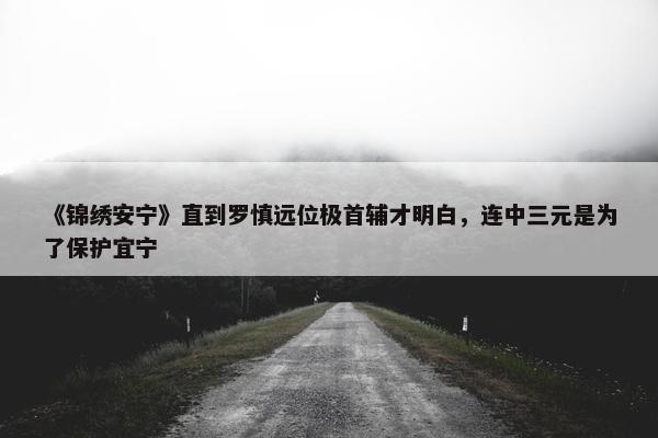 《锦绣安宁》直到罗慎远位极首辅才明白，连中三元是为了保护宜宁