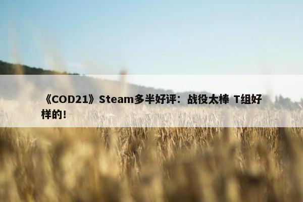 《COD21》Steam多半好评：战役太棒 T组好样的！