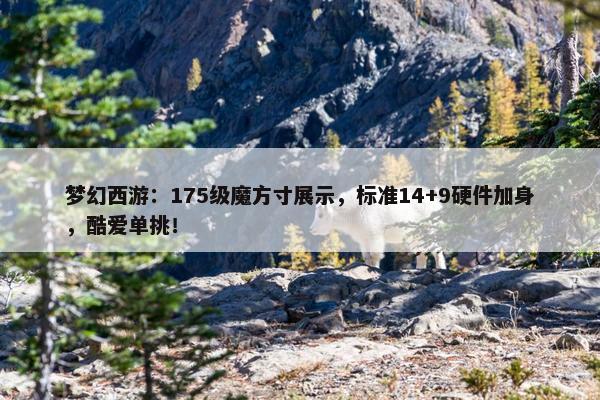 梦幻西游：175级魔方寸展示，标准14+9硬件加身，酷爱单挑！