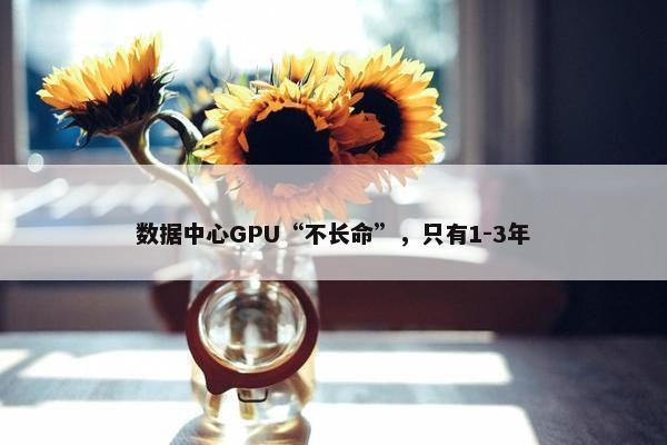 数据中心GPU“不长命”，只有1-3年