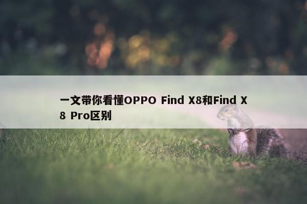 一文带你看懂OPPO Find X8和Find X8 Pro区别