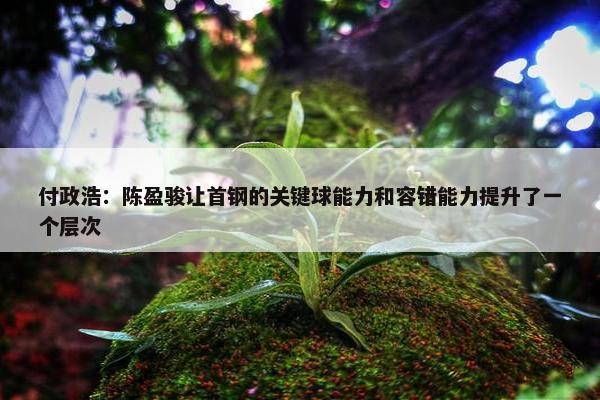 付政浩：陈盈骏让首钢的关键球能力和容错能力提升了一个层次