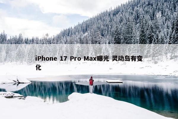 iPhone 17 Pro Max曝光 灵动岛有变化