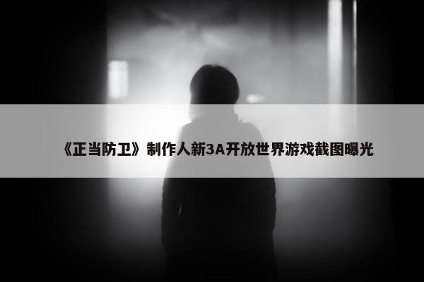 《正当防卫》制作人新3A开放世界游戏截图曝光