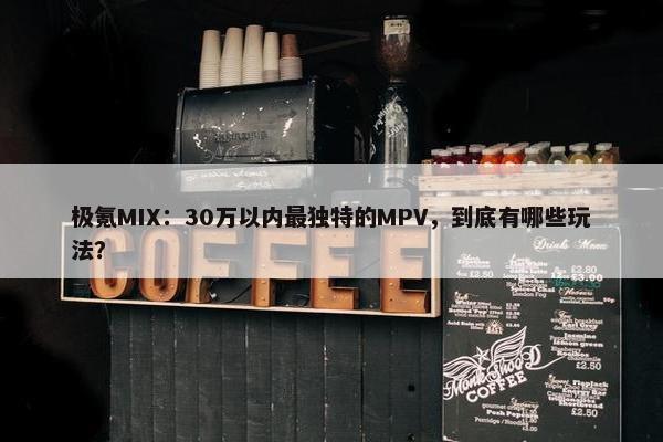 极氪MIX：30万以内最独特的MPV，到底有哪些玩法？