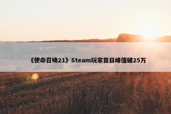 《使命召唤21》Steam玩家首日峰值破25万