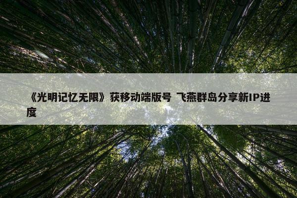 《光明记忆无限》获移动端版号 飞燕群岛分享新IP进度