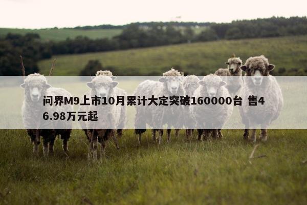 问界M9上市10月累计大定突破160000台 售46.98万元起