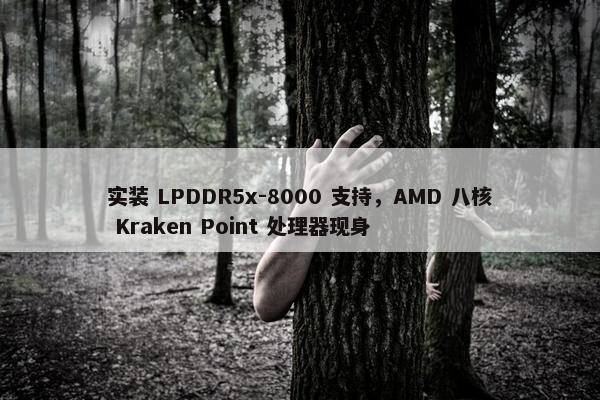 实装 LPDDR5x-8000 支持，AMD 八核 Kraken Point 处理器现身