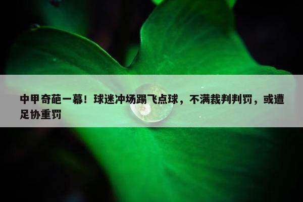 中甲奇葩一幕！球迷冲场踢飞点球，不满裁判判罚，或遭足协重罚