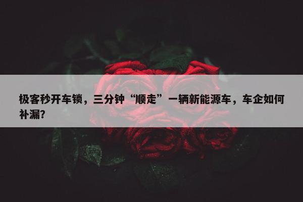 极客秒开车锁，三分钟“顺走”一辆新能源车，车企如何补漏？