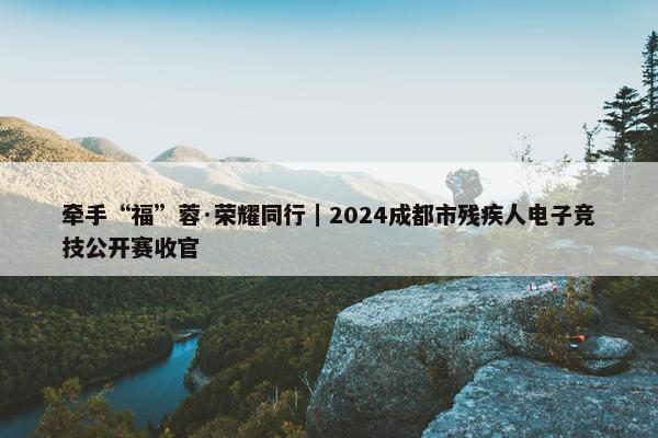 牵手“福”蓉·荣耀同行｜2024成都市残疾人电子竞技公开赛收官