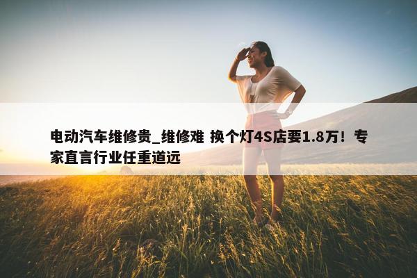 电动汽车维修贵_维修难 换个灯4S店要1.8万！专家直言行业任重道远