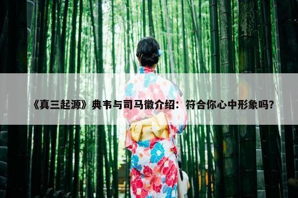 《真三起源》典韦与司马徽介绍：符合你心中形象吗？