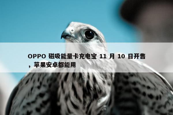 OPPO 磁吸能量卡充电宝 11 月 10 日开售，苹果安卓都能用