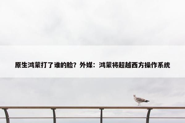 原生鸿蒙打了谁的脸？外媒：鸿蒙将超越西方操作系统