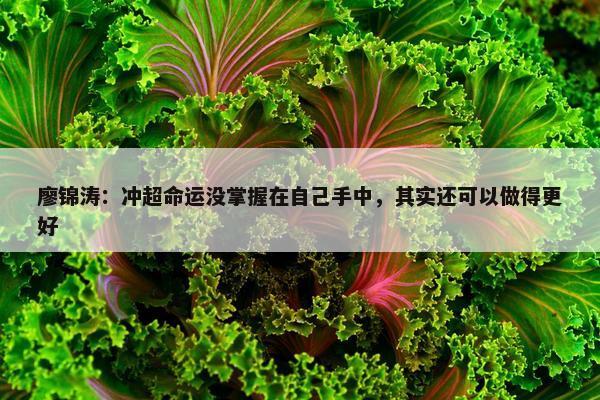 廖锦涛：冲超命运没掌握在自己手中，其实还可以做得更好