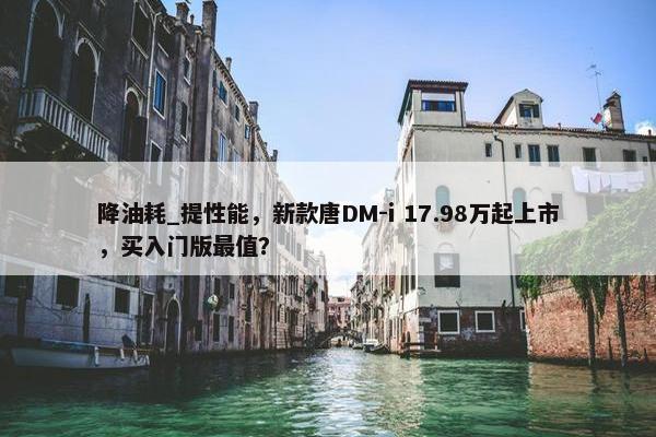 降油耗_提性能，新款唐DM-i 17.98万起上市，买入门版最值？