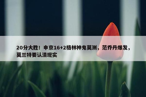 20分大胜！申京16+2格林神鬼莫测，范乔丹爆发，莫兰特要认清现实