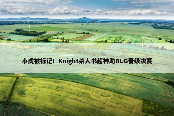 小虎被标记！Knight杀人书超神助BLG晋级决赛