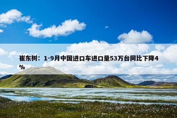 崔东树：1-9月中国进口车进口量53万台同比下降4%