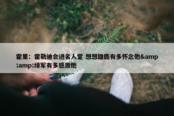 霍里：霍勒迪会进名人堂 想想雄鹿有多怀念他&amp;绿军有多感激他