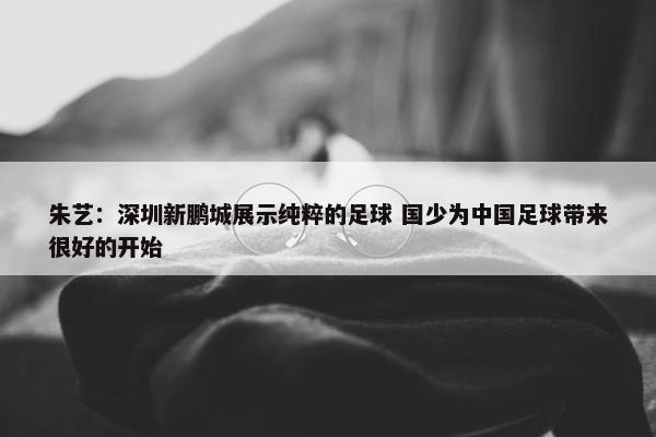 朱艺：深圳新鹏城展示纯粹的足球 国少为中国足球带来很好的开始