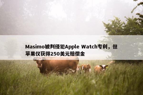 Masimo被判侵犯Apple Watch专利，但苹果仅获得250美元赔偿金