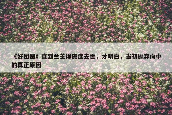 《好团圆》直到兰芝得癌症去世，才明白，当初抛弃向中的真正原因