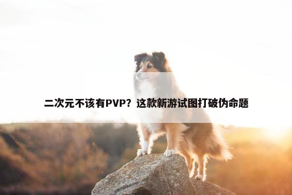 二次元不该有PVP？这款新游试图打破伪命题