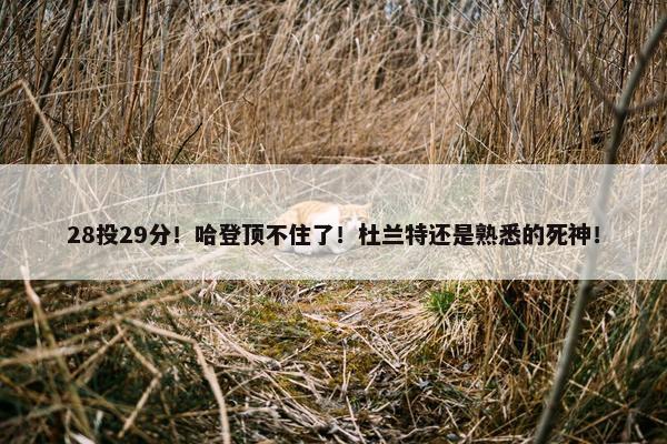 28投29分！哈登顶不住了！杜兰特还是熟悉的死神！