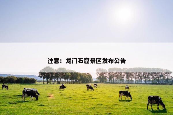 注意！龙门石窟景区发布公告