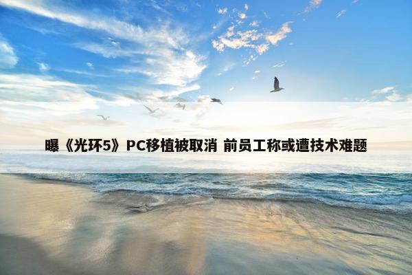 曝《光环5》PC移植被取消 前员工称或遭技术难题