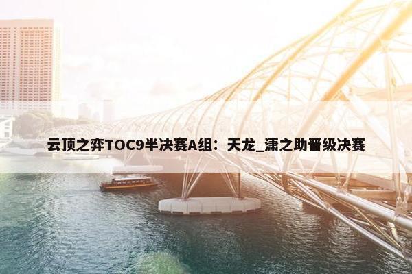 云顶之弈TOC9半决赛A组：天龙_潇之助晋级决赛