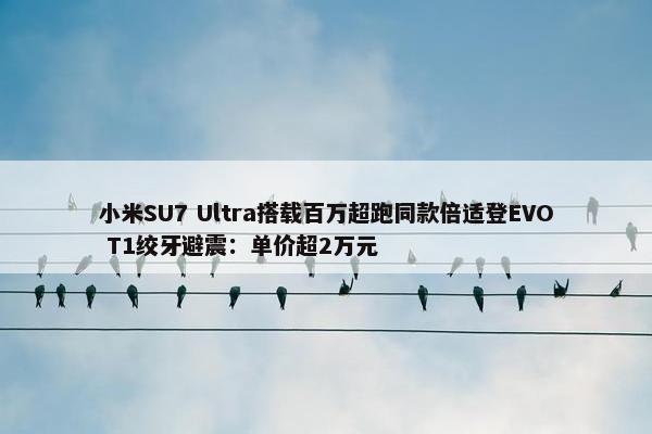 小米SU7 Ultra搭载百万超跑同款倍适登EVO T1绞牙避震：单价超2万元