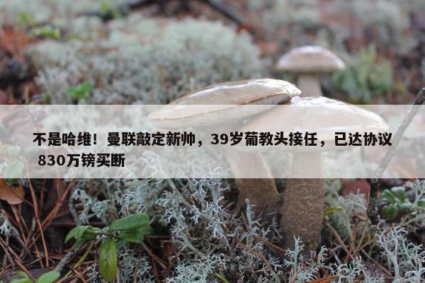 不是哈维！曼联敲定新帅，39岁葡教头接任，已达协议 830万镑买断