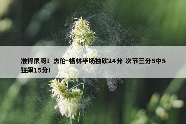 准得很呀！杰伦-格林半场独砍24分 次节三分5中5狂飙15分！