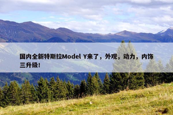 国内全新特斯拉Model Y来了，外观，动力，内饰三升级！