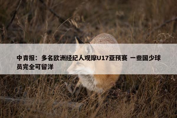 中青报：多名欧洲经纪人观摩U17亚预赛 一些国少球员完全可留洋