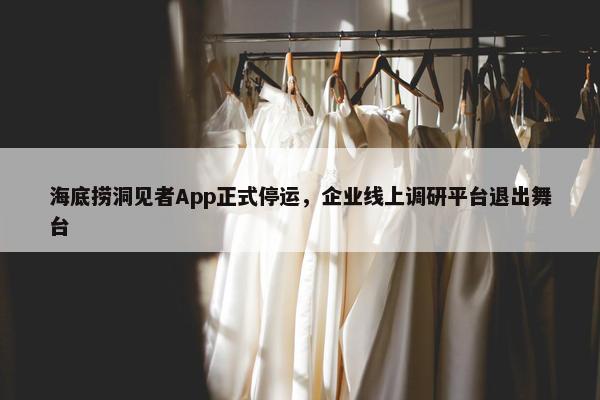 海底捞洞见者App正式停运，企业线上调研平台退出舞台