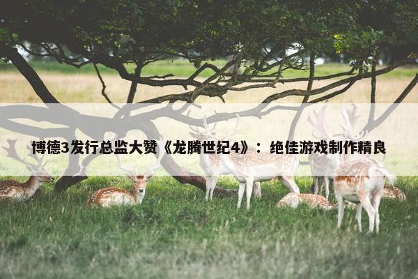 博德3发行总监大赞《龙腾世纪4》：绝佳游戏制作精良