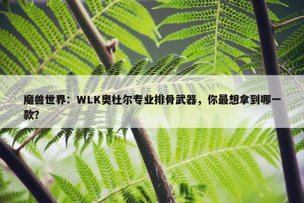 魔兽世界：WLK奥杜尔专业排骨武器，你最想拿到哪一款？