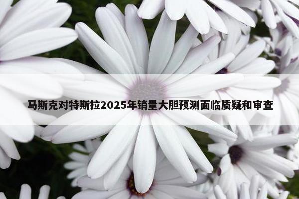 马斯克对特斯拉2025年销量大胆预测面临质疑和审查